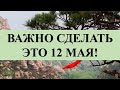 СДЕЛАЙТЕ ЭТОТ РИТУАЛ 12 МАЯ И ВАШЕ ЖЕЛАНИЕ ИСПОЛНИТСЯ!