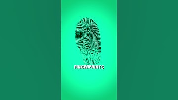 Why we have Fingerprints🤔?
