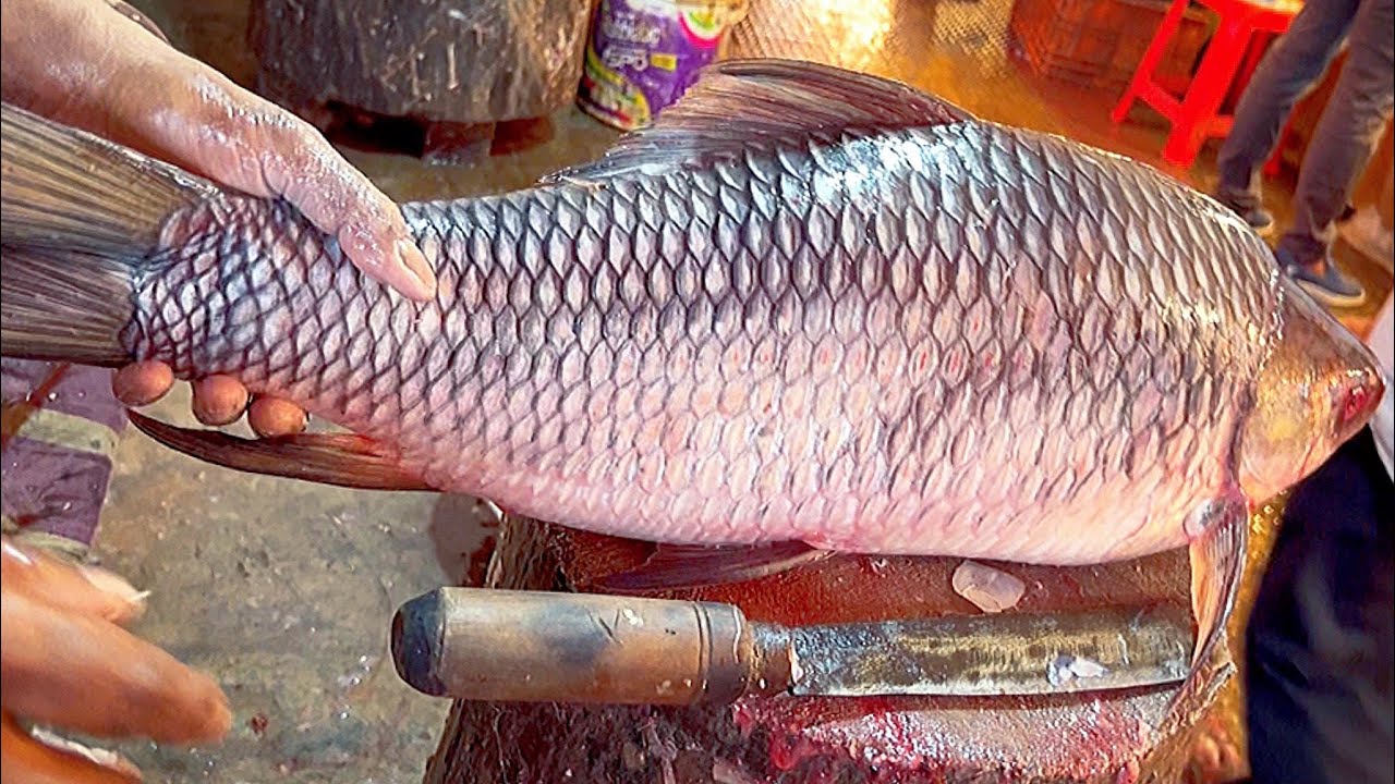 Today Big Rohu Fish Cutting By Bangladeshi Expert Fish Cutter Amazing