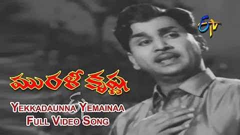 Yekkadaunna Yemainaa Full Video Song | Murali Krishna | ANR | Jamuna | SV Ranga Rao | ETV Cinema