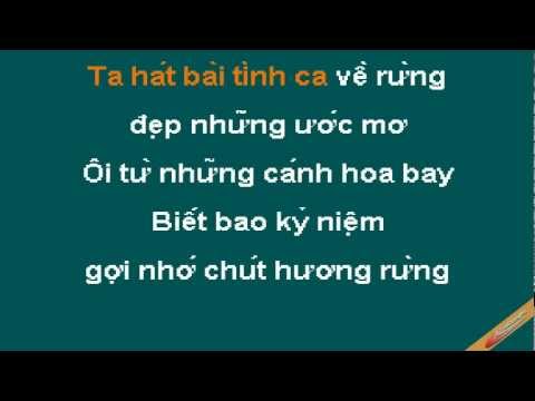 Canh Hoa Dau Karaoke - Bảo Yến - CaoCuongPro