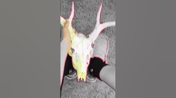 Fishing life just a hit different