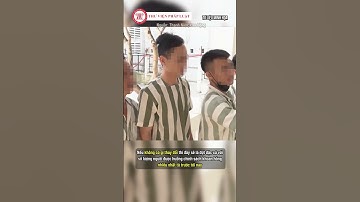 Quốc khánh 2025 sẽ là đợt đặc xá lớn nhất từ trước đến nay | THƯ VIỆN PHÁP LUẬT