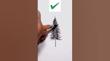 Right Way To Draw Pine Tree Art Ytshorts Shorts Short 