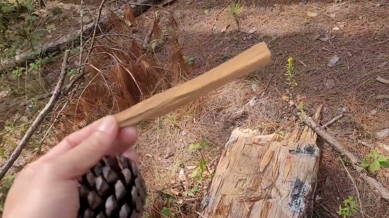 เอื้องแซะหม่อน แซะหอม