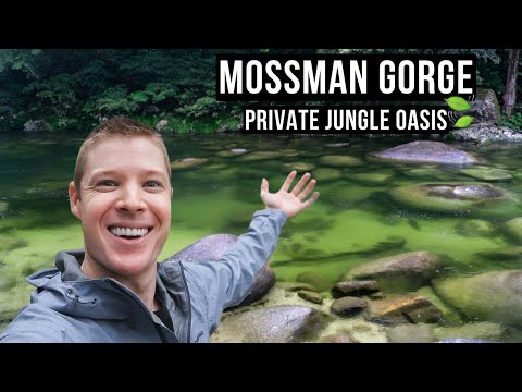Mossman Gorge Queensland // Daintree Rainforest Cairns Travel Vlog // Hiking in HEAVY RAIN