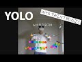 YOLO - Stella Jang [Cover with PaintMusic][PaintMusic Devlog#1]