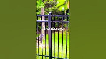 Back when Shawn broke the fence… @fgteev @FVFAMILY
