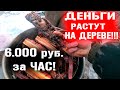 КАК ЗАРАБОТАТЬ НА СЕРЕ??? ОТ 6000р. ЗА ЧАС!!!