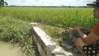 AMBYAR MANCING - BEAUTIFUL MANCING - FISHING MANIA - LATEST AMBYAR MANCING