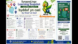 cy learn A1 Book 1 Ch.10: Future possession | will have in Welsh