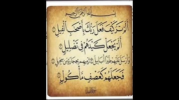 سورة الفيل بصوت الشيخ مشاري راشد العفاسي