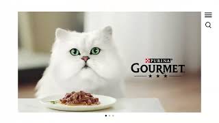 Gourmet Perle Mini Fillets