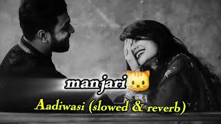 मजर व मजरManjari Aadiwasi Song Lofi Slowed Reverb