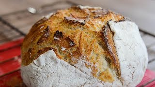 How To Make Artisan Bread Loaf In Dutch Oven