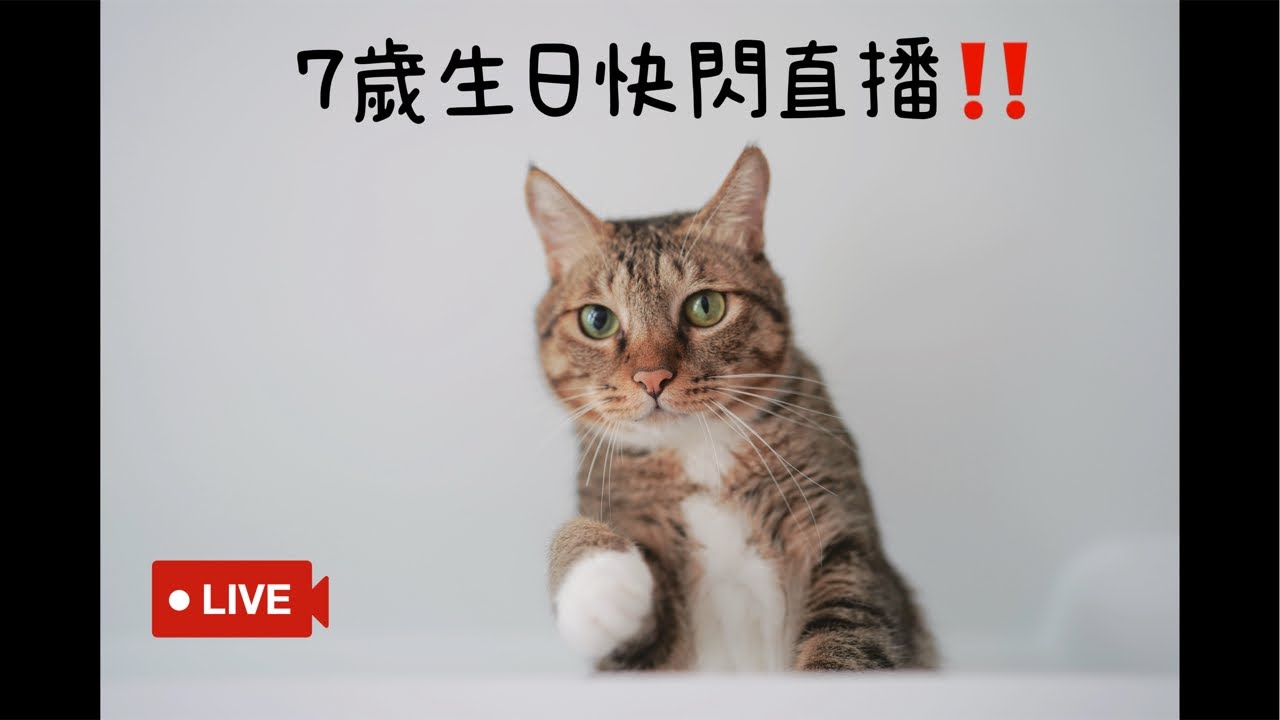 【豆漿 - SoybeanMilk】 俊榮7歲生日啦~~ 縮圖