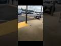 Big Fight at Dollar General!! l He was harassing the block