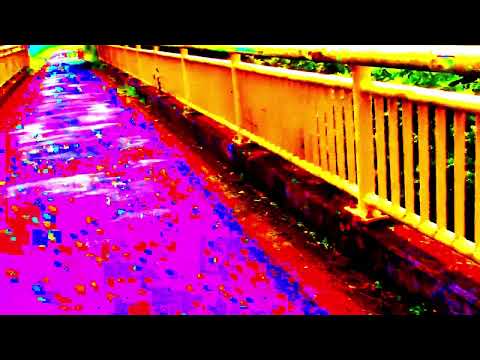 Video #33