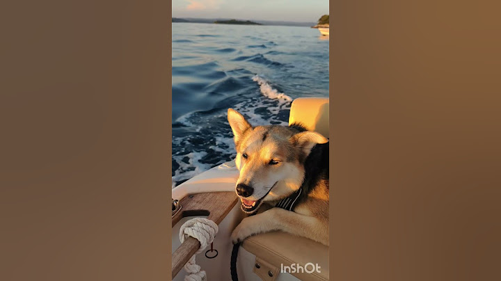 Was ist besser als mit dem #boot fahren? Mit zwei Booten fahren natürlich! #bootfahren #boating