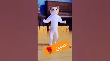 الاكتر طلبا حنين حنين ترند السعودية ترند Cat Funny New جوجو Shorts العراق الامارات 