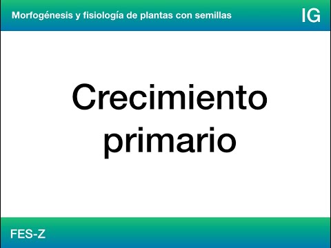 Vídeo: Diferencia Entre Crecimiento Primario Y Secundario