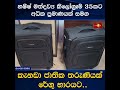 හෂීෂ් මත්ද්‍රව්‍ය කිලෝග්‍රෑම් 35කට අධික ප්‍රමාණයක් සමග කැනඩා ජාතික තරුණියක් රේගු භාරයට..