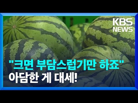 <strong>애플수박</strong> 본격 출하…“새 시장 공략” / KBS  2023.05.28.