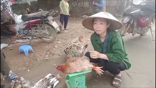 Go to the market to sell chicken. Income from raising chickens . (Daily life)