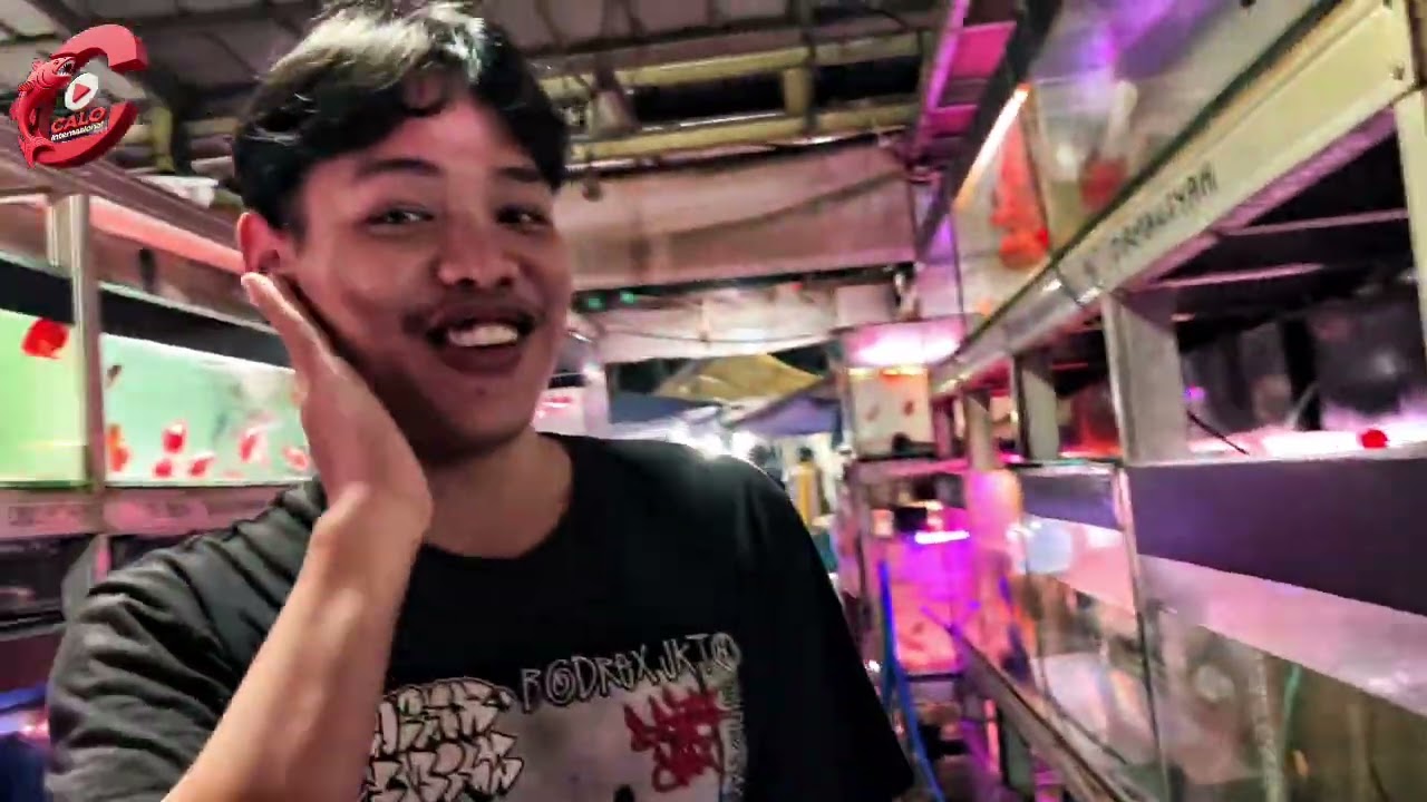 CARI IKAN JUMBO DI PASAR IKAN HIAS JATINEGARA 