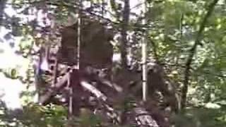 Timber full length test run
