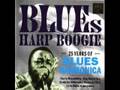 Big Walter Horton - Rockin' My Boogie