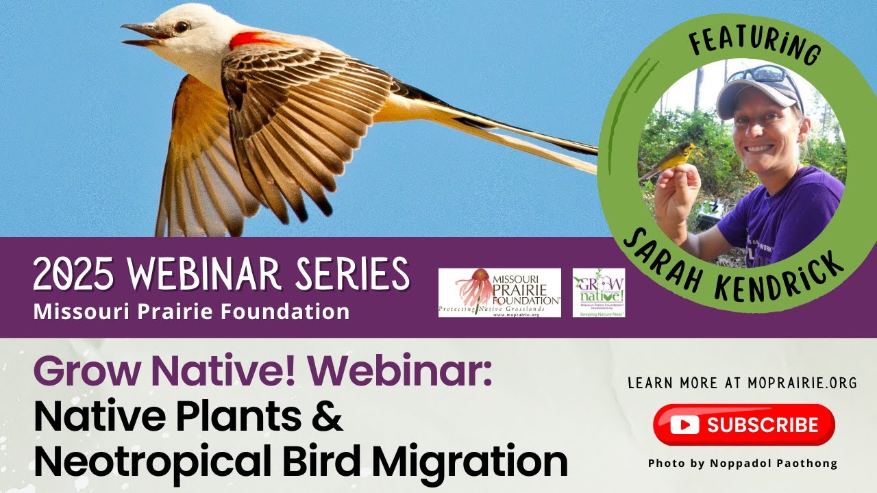 Grow Native! Webinar: Native Plants & Neotropical Bird Migration
