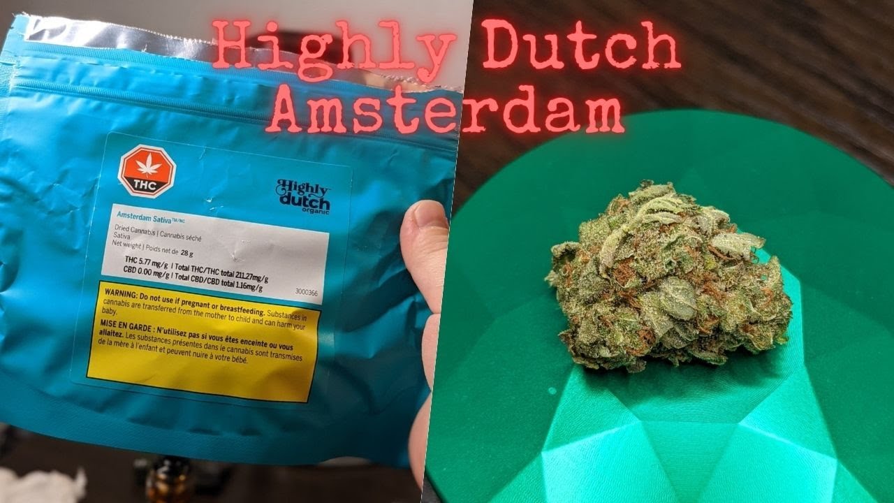 Legalization Vs Decriminalization
