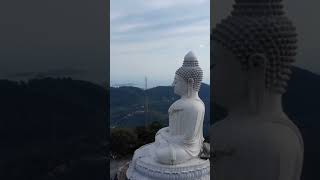 महात्मा  बुद्ध की सीख | Buddha Teachings | motivation buddhastory buddhateachings shortstories