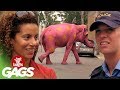 Most Crazy Complex Pranks - Best of Just For Laughs Gags