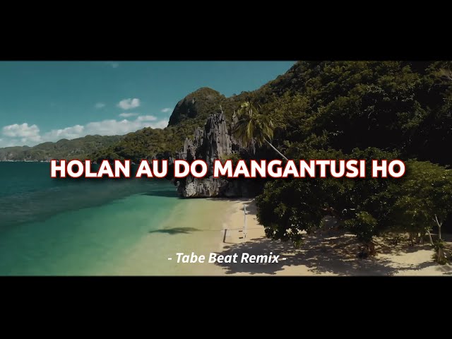 DJ REMIX BATAK!!! Holan Au Do Mangantusi Ho Slow Remix (Tabe Beat Remix) class=