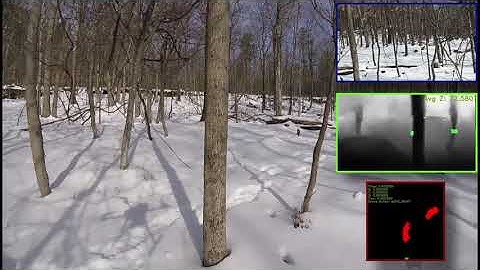 Introducing D-MARVEL: Vision-based Autonomous Collision Avoidance for UAS