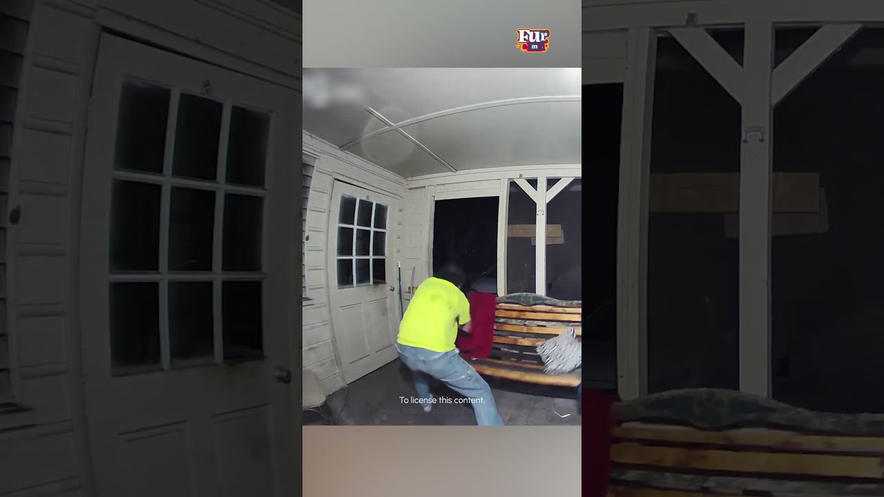 Incredible Man Saves His Dogs From Bear Attack 
