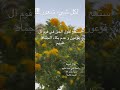 البكاء إنما ينشأ عن انفعال عاطفي وهذا يعني ان الجمادات لا تتكلم فقط ولكنها تحس أيضا البكاء إنما ينشأ عن انفعال عاطفي وهذا يعني ان الجمادات لا تتكلم فقط ولكنها تحس أيضا
