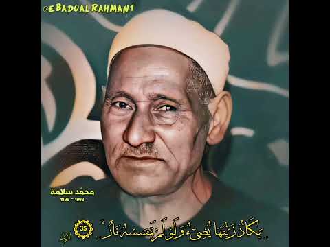 الشيخ محمد سلامة مقام نوا أثر تلاوة رائعة 