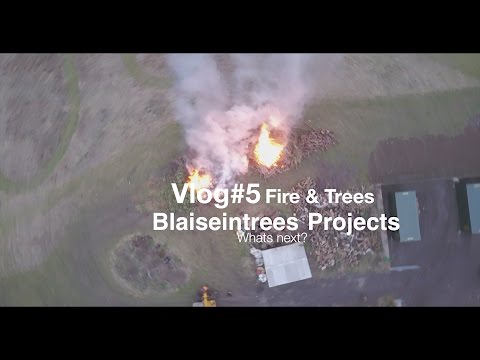 Vlog #5 Maple Timelapse