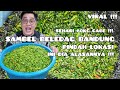 DARI JAKARTA KE BANDUNG DEMI SAMBEL HEJO BELEDAG VIRAL