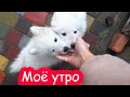 VLOG Моё субботнее утро