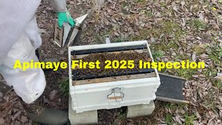 Exciting First Inspections of 2025: Apimaye Bee Hive Inspections