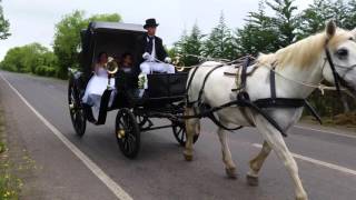 Carruaje victoria Yerbas Buenas