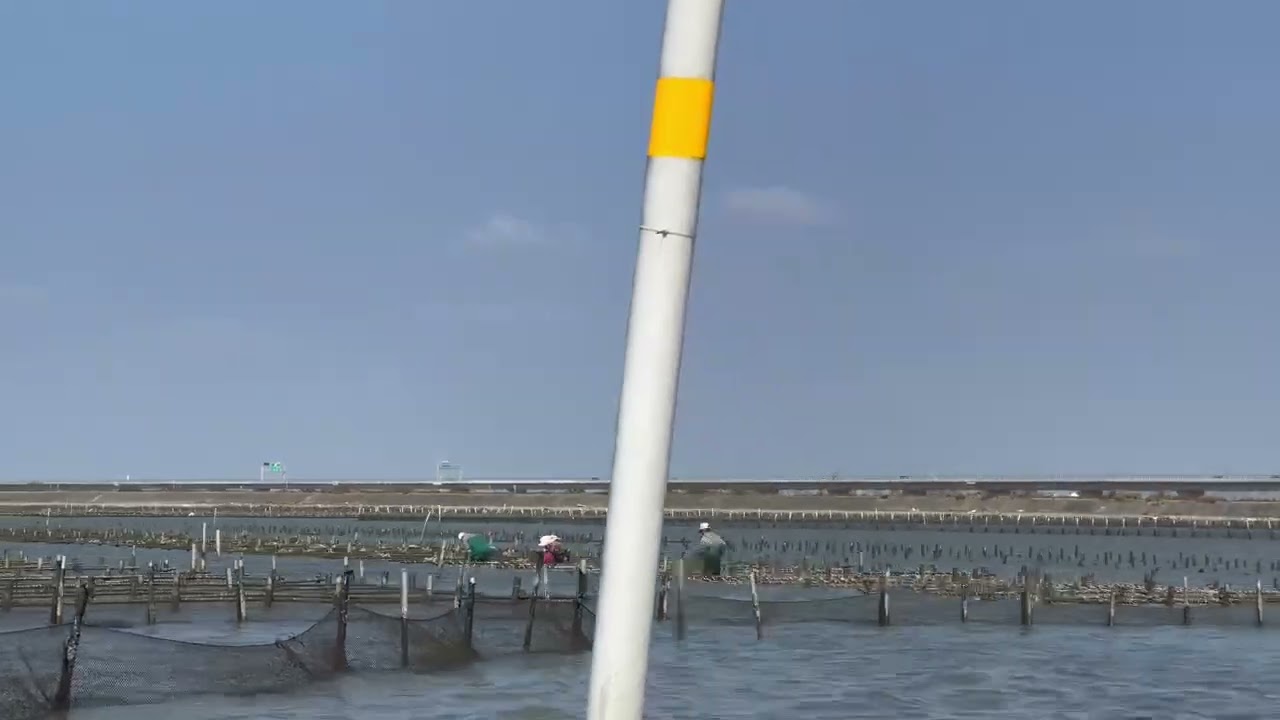 #潟湖#鮮蚵-2022.12.04台南七股潟湖養蚵人家