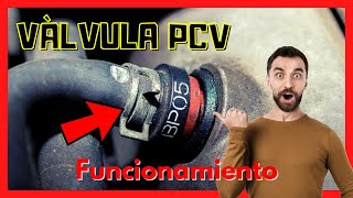 VáLvula PCV de VentilacióN Positiva Del CáRter Del Coche VáLvula de H9Z4 