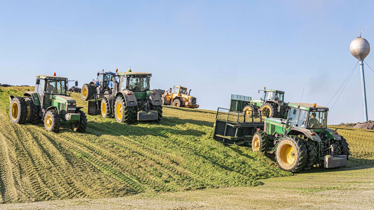 Big Corn Silage 