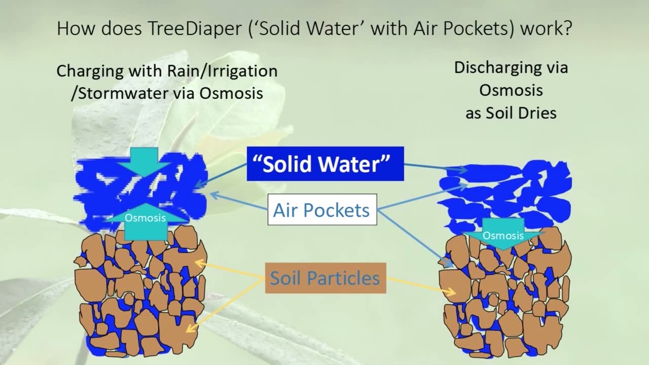 TreeDiaper is true Game Changer, especially for Landscape Architects