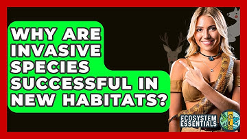 Why Are Invasive Species Successful In New Habitats? - Ecosystem Essentials
